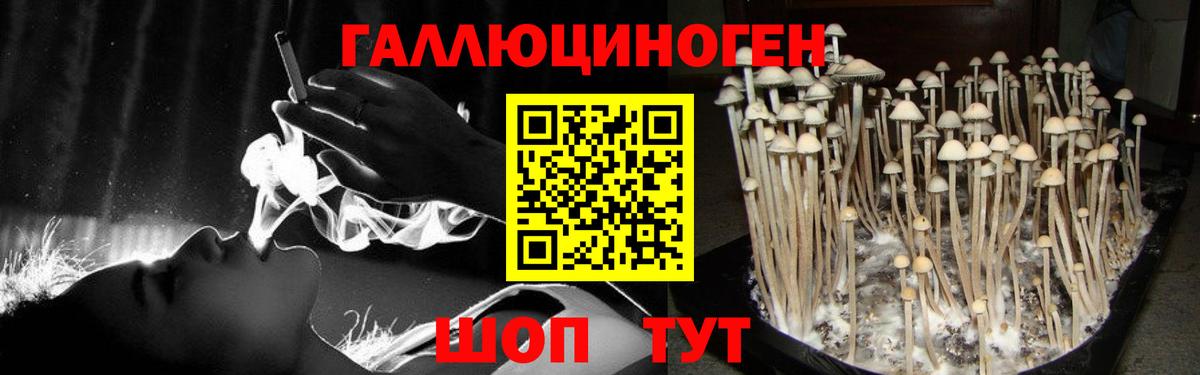 Старая Купавна  Псилоцибиновые грибы MAGIC MUSHROOMS  Галлюциногенные грибы Magic Shrooms  Вход с VPN 